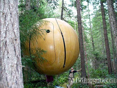 ������˼��(chu��ng  )�����w�Ƅ�(d��ng)����