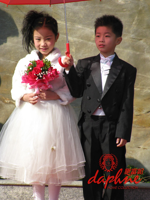 ϲ�Y�B�����������