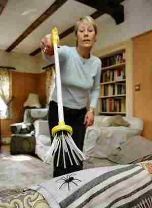 Ԏ����ʮ��(chu��ng  )��Ҿ�