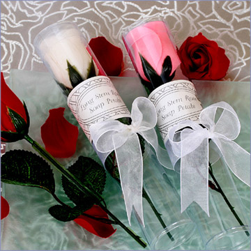 �»�֮�ҵķ۷�����Q��