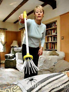 �������(l��i)�Ą�(chu��ng  )���@�˼Ҿ�