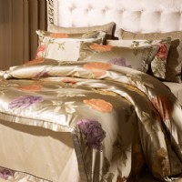 ����˽�Z(y��)