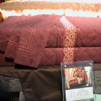 ���Aϵ��11