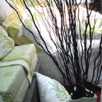 ���Aϵ��13