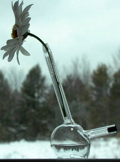 ���жU���L(f��ng)���Ψ����ƿ