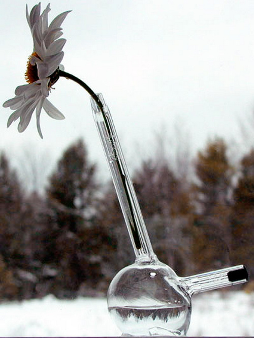 ���жU���L(f��ng)���Ψ����ƿ