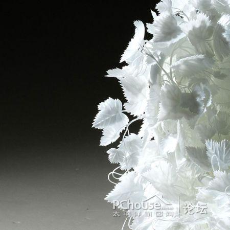 ���׵Ę�(sh��)�~�����Є�(chu��ng  )�⵫�ܹª�