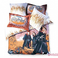 ħ���W(xu��)У