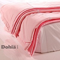 �����ı������t��