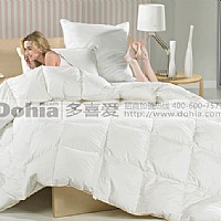 ��ܰ�pӯ��q��