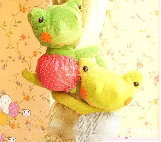 ��Ů�������؂�ɐ�(��i)���������ˑ�