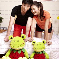 ��ʽV�I(l��ng)����