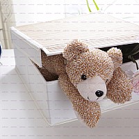 ��Ȼ�L(f��ng)�ռ{��