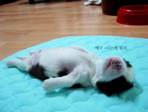 �H�������˯һС�r(sh��)����