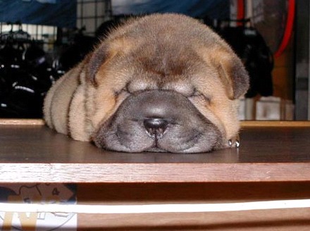 �H�������˯һС�r(sh��)����