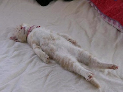 �H�������˯һС�r(sh��)����