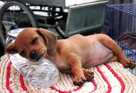 �H�������˯һС�r(sh��)����