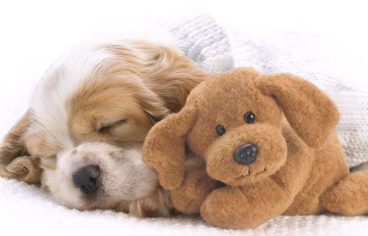 �H�������˯һС�r(sh��)����