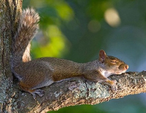 �H�������˯һС�r(sh��)����