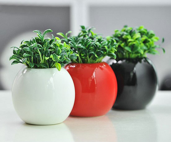 �մɻ�ƿ�@�`��