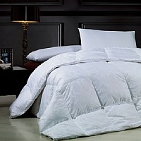 ���F���Z�q��