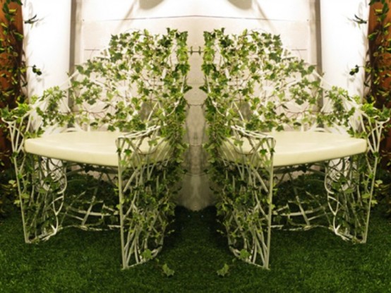 ͯԒ(hu��)ɭ�ֱ�ֲ���p�@�Ļ��@�Ҿ�