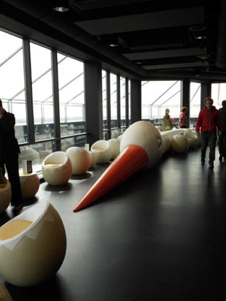 �����B(ni��o)�����η����������B(ni��o)���ư�