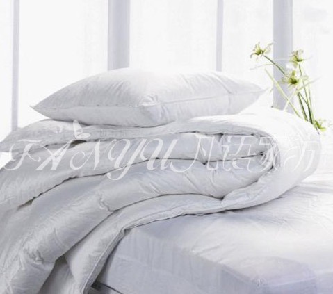 ���Z(y��)�Ҽ����x���m���Լ��ı���