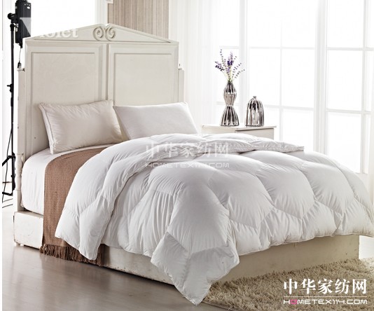 ʒɪ�������_�m�c���ů���