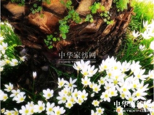 ���z�Ҽ����ƌW(xu��)���o����F��