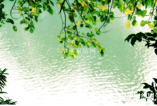 ���z������ˮ��ǰ�� �B���з�