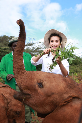 ���������"׃��"�����h�����J�B����