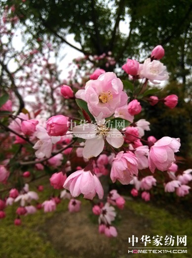 ���z�׌á���(m��ng)��▪���L(ch��ng)�����}�zӰ��ِ�Є�(d��ng)��Ļ