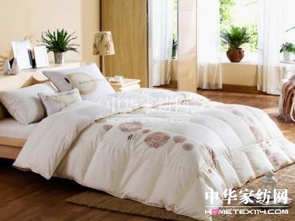 AҼW(wng)ĳL(chng)֮·