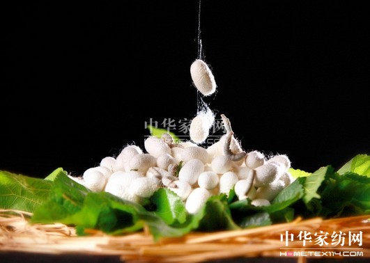 �V���Q�I(y��)���g(sh��)�ƏV��r������(hu�� )�ό����_(k��i)