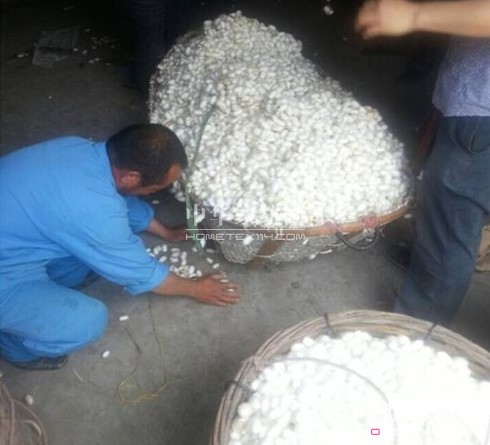 ͩ�l�����d�ȵ��_(k��i)ʼ��ُ���괺�O