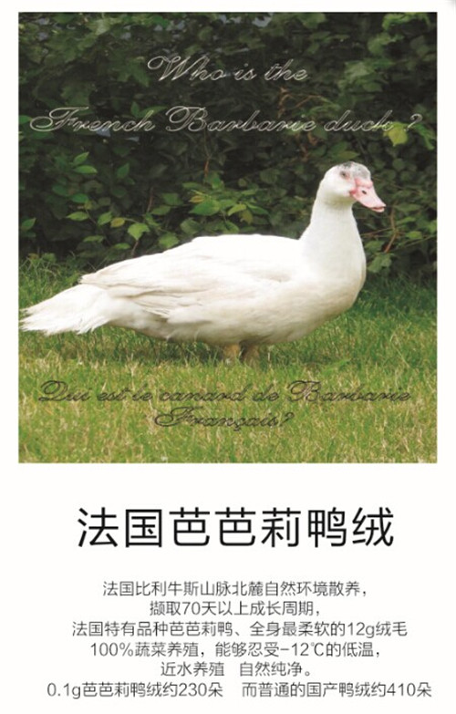 Ʒ�|(zh��)58�����(m��ng)���Ҽ��cȫ���(��i)����һͬ��(m��ng)��