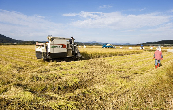 |lӵؚ l(f)չrЈ(chng)