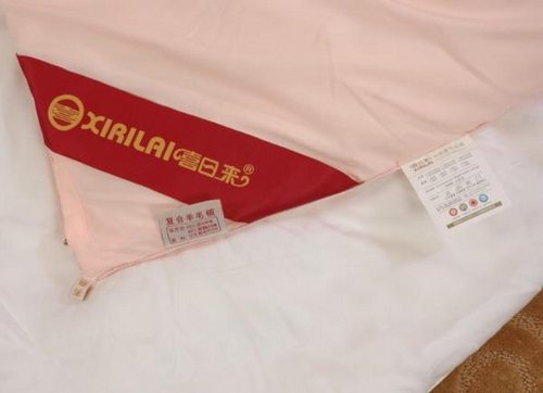 5·Ԍ؈ҼN(xio)ǰʮ ϲՁ(li)ҼW(wng)ُ