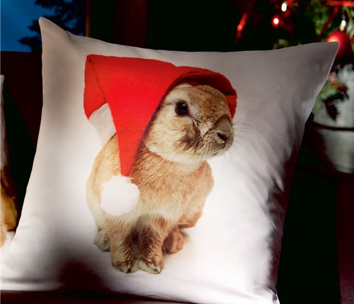 r(sh)мҼƷʥQԪؿ|C