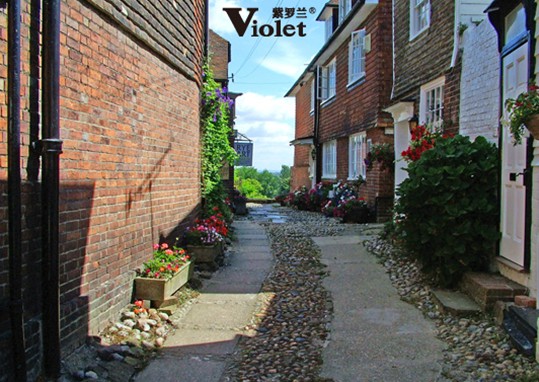 _mmqϵУ(li)ԚW޵ıůw