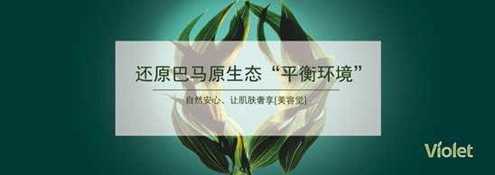 _mҼDf@I(lng)ӢFķAʢ