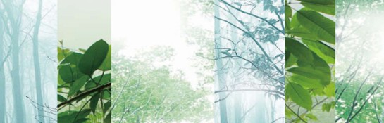 _mCҼڰRԭB(ti)ɽȺˮg-һ(chng)p(mng)