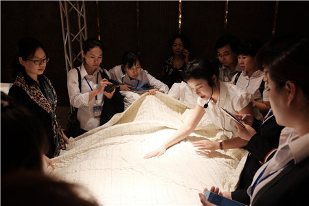 Ԓ(hu)졪ESTEEMͥҼ2017괺Ʒl(f)(hu )AM(mn)Ļ