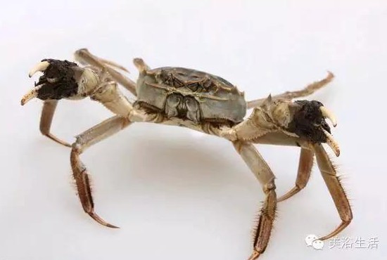 ԡÂĴlззSʳзȯзë