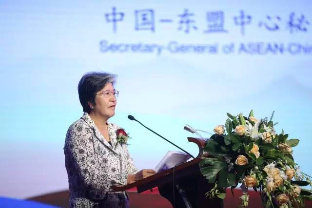 䁾̈́�(chu��ng  )�����Gɫ���ɳ��m�l(f��)չ���½z·��2017��һ��һ·���������b�a(ch��n)�I(y��)�l(f��)չՓ���ڞ���ľ�R���_(k��i)