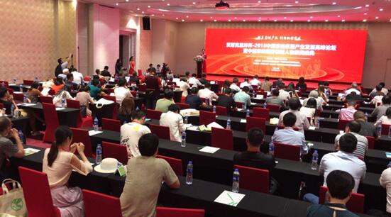 ��Ӣ���I(l��ng)�a(ch��n)�I(y��)  ��(chu��ng  )����(d��ng)�r(ji��)ֵ�����h˹�˶�����•2018�Ї��Ҽ��ҾӮa(ch��n)�I(y��)�l(f��)չ�߷�Փ��