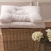 ���´��w�S�������w��