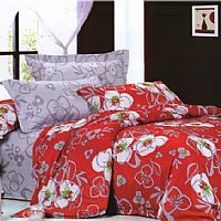 ���Ġ���-�t