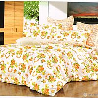 С�~���㣨С����